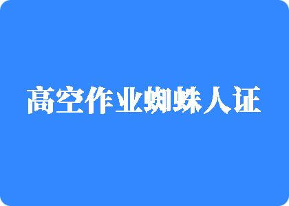 日必黄色高空作业蜘蛛人证